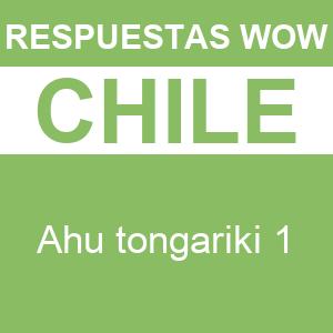 WOW Ahu Tongariki 1