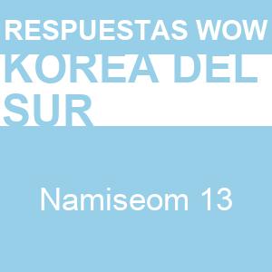 WOW Namiseom 13