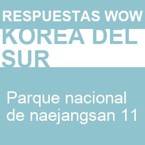 Words of Wonders Parque Nacional de Naejangsan 11 WOW Parque Nacional de Naejangsan 11
