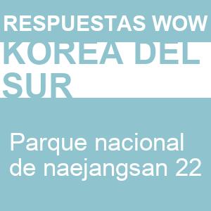 Words of Wonders Parque Nacional de Naejangsan 22 WOW Parque Nacional de Naejangsan 22