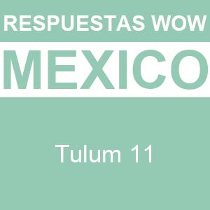 Words of Wonders Tulum 11 WOW Tulum 11