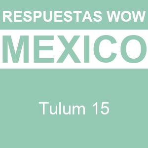 Words of Wonders Tulum 15 WOW Tulum 15