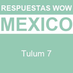 Words of Wonders Tulum 7 WOW Tulum 7