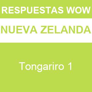 WOW Tongariro 1