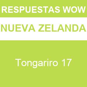 WOW Tongariro 17