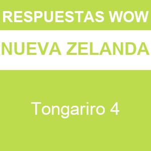 WOW Tongariro 4