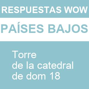 WOW Torre de La Catedral de Dom 18