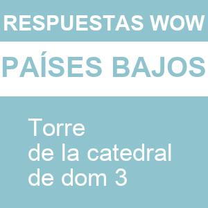 WOW Torre de La Catedral de Dom 3
