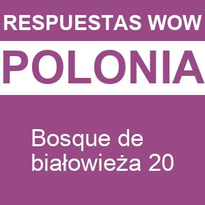 WOW Bosque de Białowieża 20