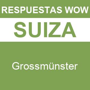 WOW Suiza Grossmünster